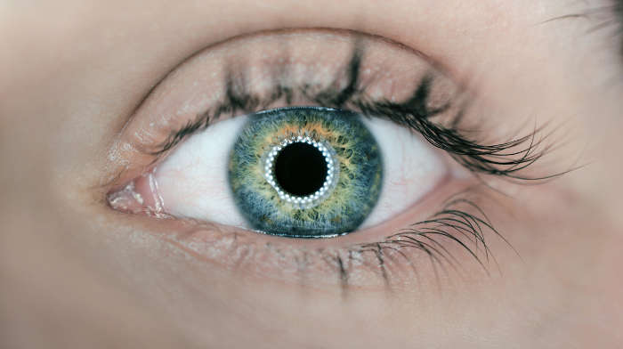 Auge mit Irisring