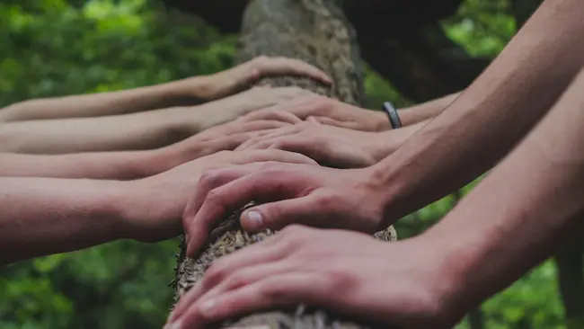 Mehrere Hände liegen auf einem großen Baumstamm und symbolisieren Zusammenhalt und Verbundenheit in der Gemeinschaft. Mehrere Hände liegen auf einem großen Baumstamm und symbolisieren Zusammenhalt und Verbundenheit in der Gemeinschaft.